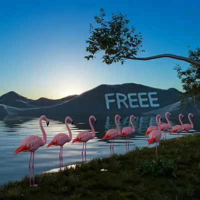 FREEE FLAMINGOS  #2