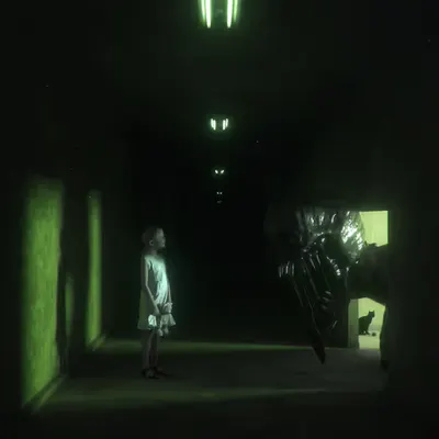 The Shadow Line