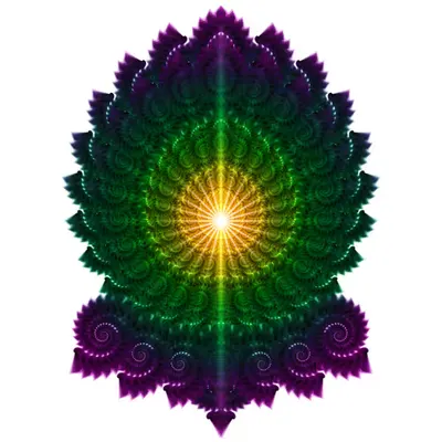 Fractalgasm
