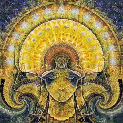 Golden Teacher