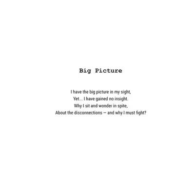 Big Picture
