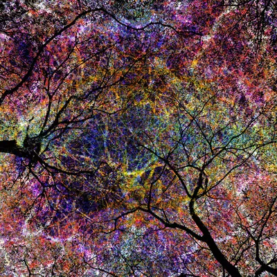 Dendrites of Synesthesia