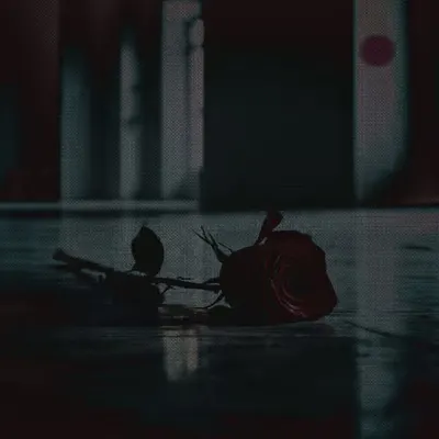 La rose
