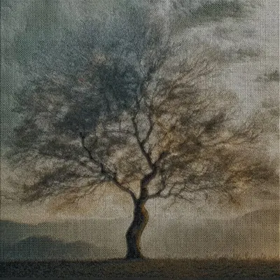 Untitled tree #1 