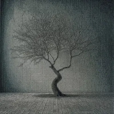 Untitled tree #2