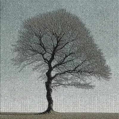 Untitled tree #8