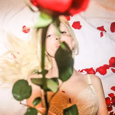 Rose #1/5