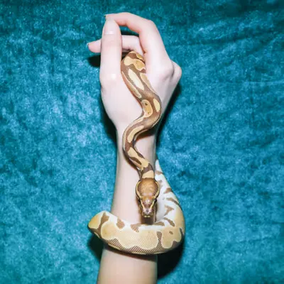 Leonardo Glauso. Photography I #592/257