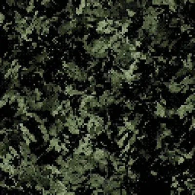 Betula lenta - Sweet Birch