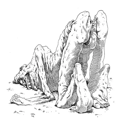 WYLDLYFE : The Poor 