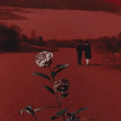 In Another Life
