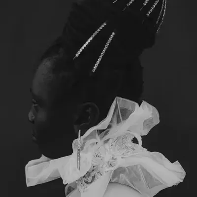 Crown Study 