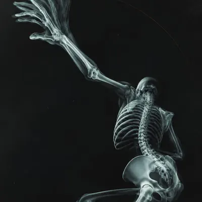 Talk to the Hand