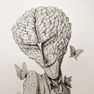 BUTTERFLY 🦋