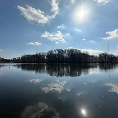 A Trip To The Lake