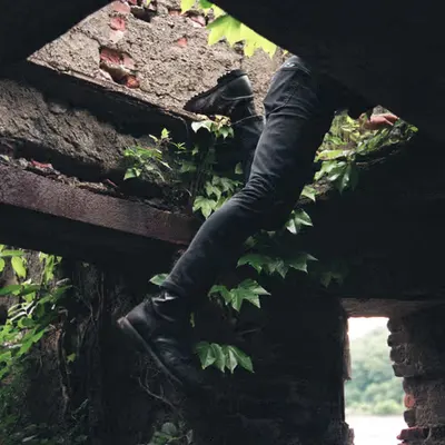 Into The Wild