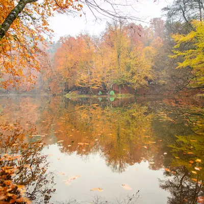 Colors of Nature