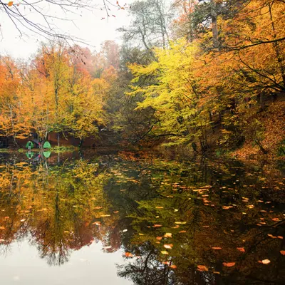 Colors Of Nature #3