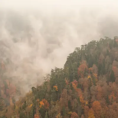 Colors Of Nature #5