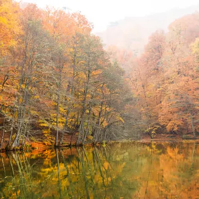 Colors Of Nature #6