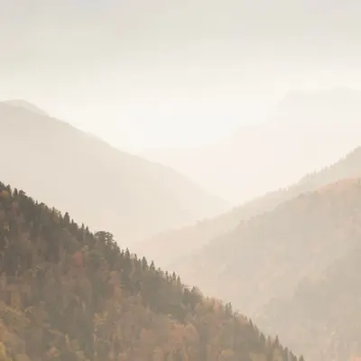 Colors Of Nature #7