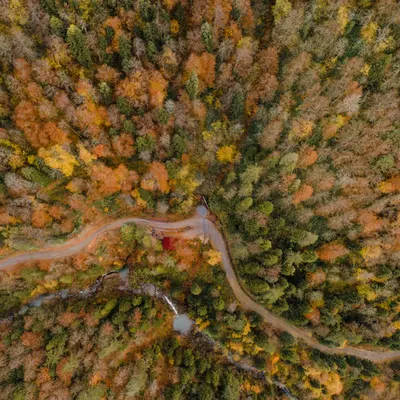 Colors Of Nature #8