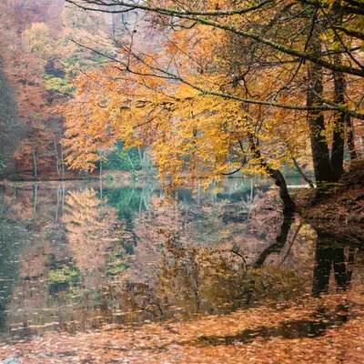 Colors Of Nature #9