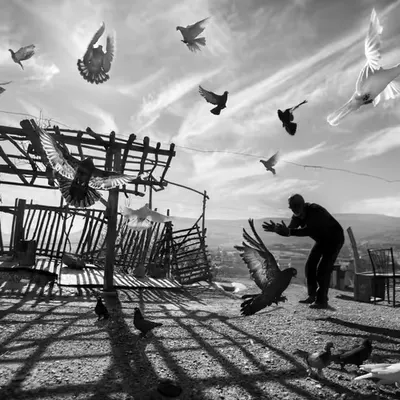 Freedom