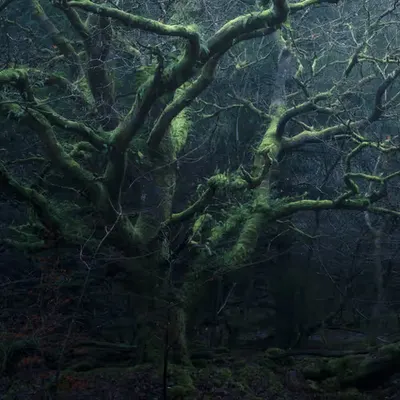 INTO DARKNESS