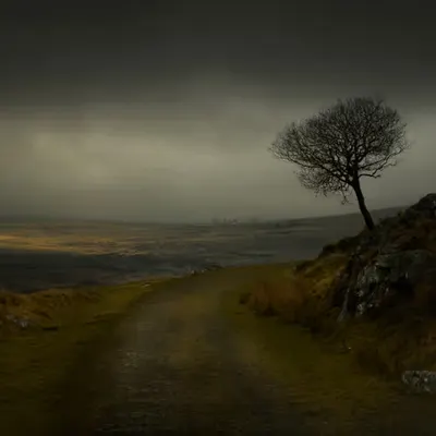 WUTHERING HEIGHTS
