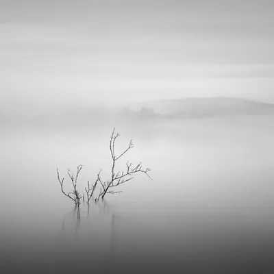 STILLNESS IN TIME