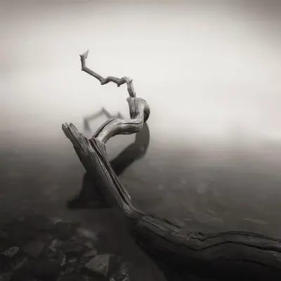 TWISTER