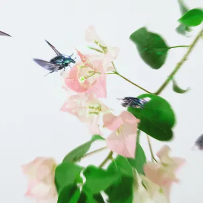 IA_07