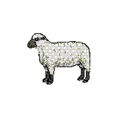 SHEEPT