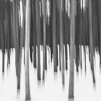 Winter in Abstract