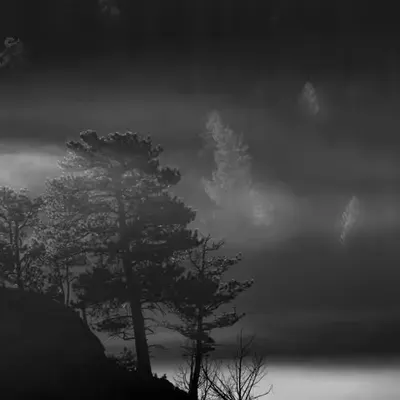 Where the Light Shines