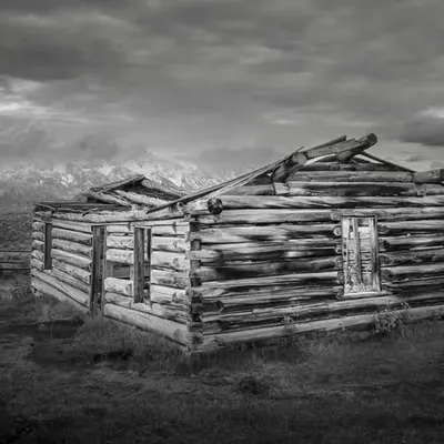 Silent Homestead