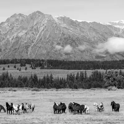 Gathered at the Mountain 