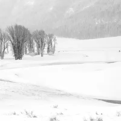 The Untamed Valley