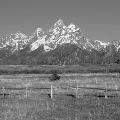 Where the West Remains 