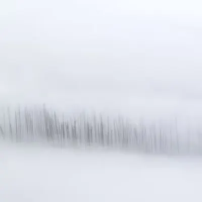Remnants