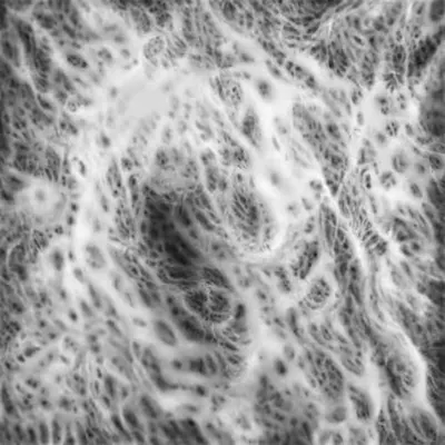 Neural Foam