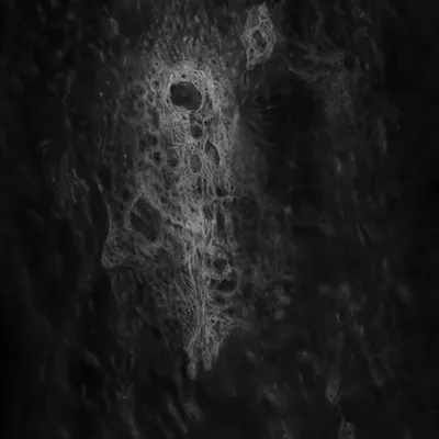 A Taste of the Primordial Soup