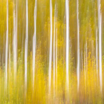 Aspen in Abstract