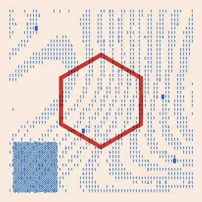Low Language 194