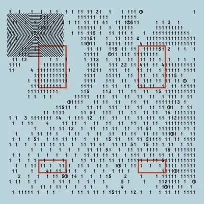 Low Language 82