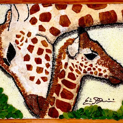Giraffes