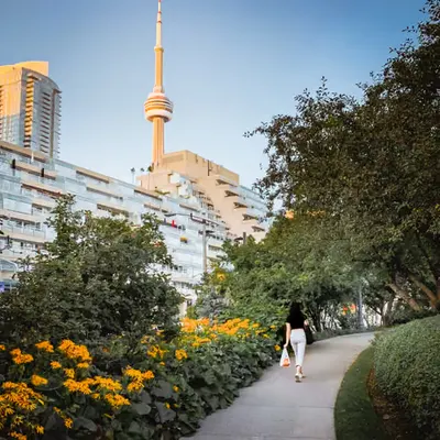 summer in the city