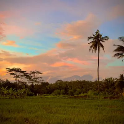 Bali