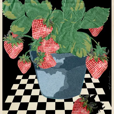 Strawberries